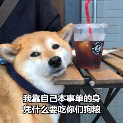 狗狗带字高清头像图片