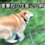 搞怪情头沙雕可爱一左一右图片