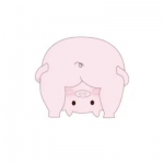 卡通版超级逗比的情头图片