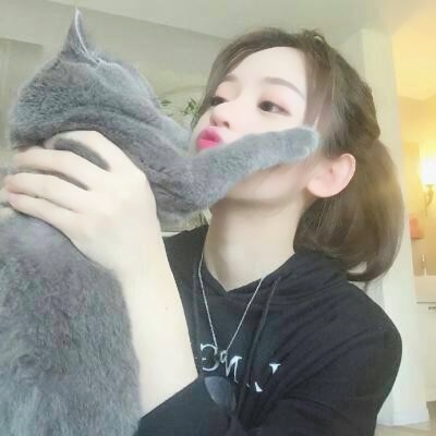 QQ头像女生抱猫图片