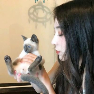 QQ头像女生抱猫图片