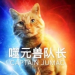 带字的小橘猫噬元兽噬元兽表情包头像