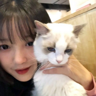 微信头像女冷淡风