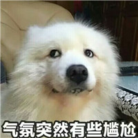 狗狗逗比头像带字