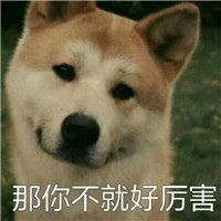 狗狗逗比头像带字