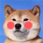 情头猫狗可爱卖萌高清一对两张