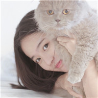 美女抱猫的头像图片