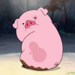 卡通高清胖乎乎的可爱猪头像图片