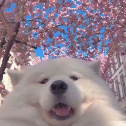 qq沙雕头像