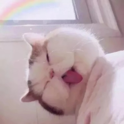QQ头像奇葩搞怪图片