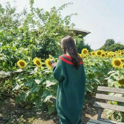 小清新头像女生森女风景