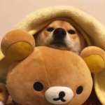 超可爱情头一左一右