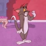 搞笑逗比的汤姆杰瑞猫和老鼠搞怪情头图片