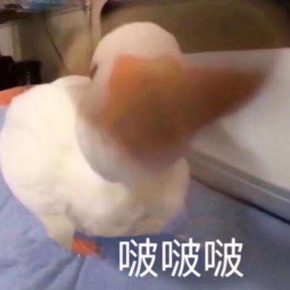 微信头像图片搞笑
