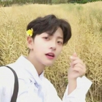 帅气的呆萌男头真人图片