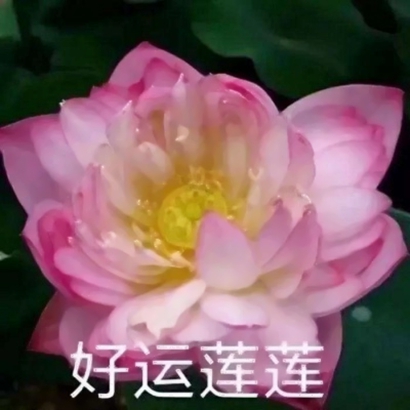 四人闺蜜头像动漫