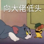 搞笑的猫和老鼠可爱有字头像图片