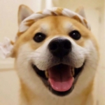 可爱呆萌情头一左一右图片