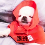 可爱智障一点的情头图片