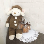 微信高清可爱的布偶头像图片