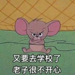 超级好玩表情包带字头像图片