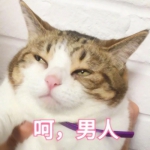 情头萌宠一左一右高清可爱一对两张图片