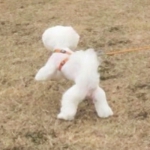 沙雕高清超可爱的情头