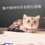 上课时猫咪表情包头像