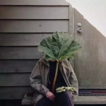 2024高清帅气男头图片