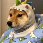 微信稀有可爱情头一左一右高清图片