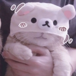 2024超萌可爱的2024猫咪情头一对图片