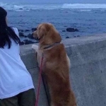 cp真人情头一对两张高清配对图片