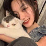 唯美可爱女孩抱猫咪高清头像图片