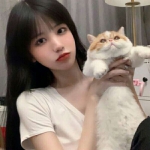 可爱高清漂亮女生与猫高清头像图片