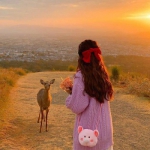 不露脸高清唯美超仙女头像图片