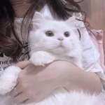 微信高清女生闺蜜双人仙气头像